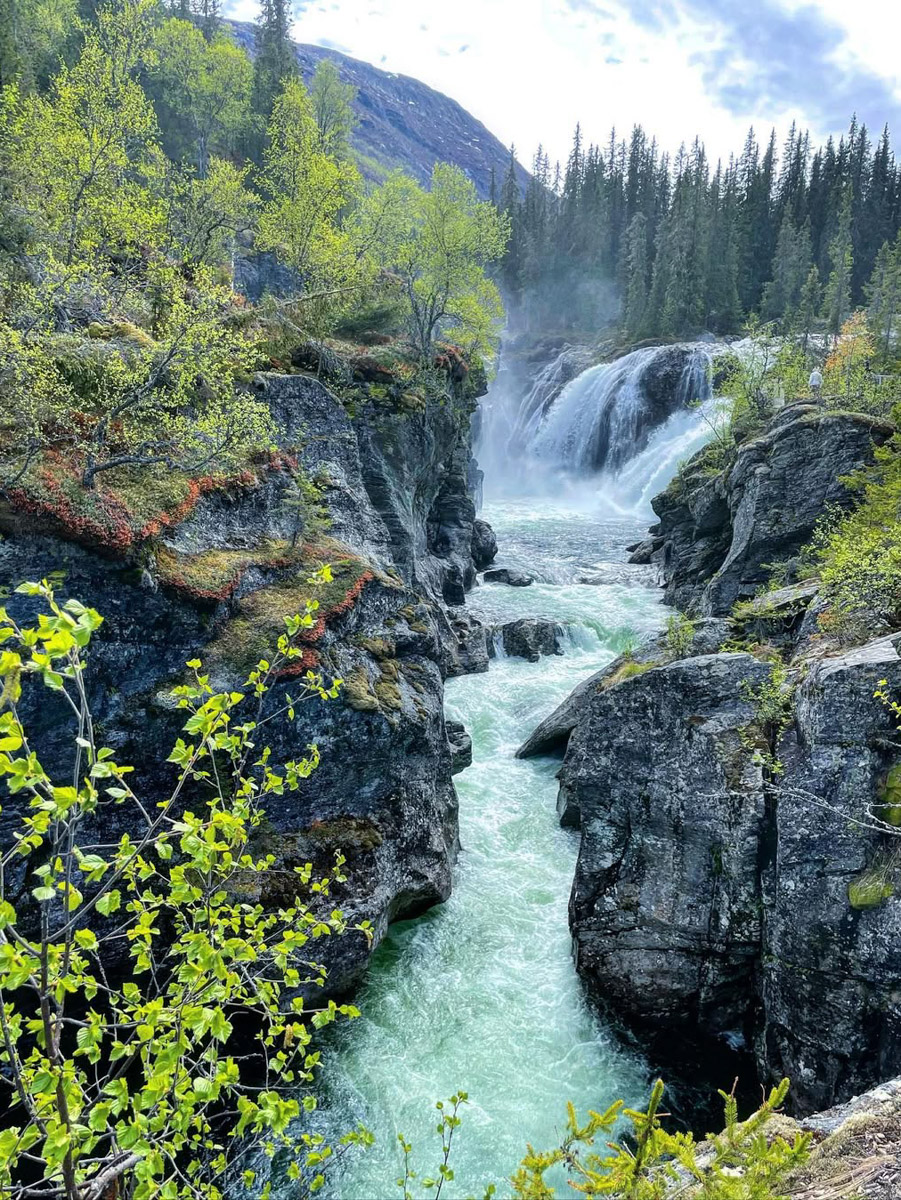 Мария Ломоносова родом из Владимира, однако уже около десяти лет живет в Осло. Попала в Норвегию чуть ли не по воле случая, но нисколько не сожалеет о переезде. С чем героине пришлось столкнуться и как она устроила свой быт, узнал «Ключ-Медиа».