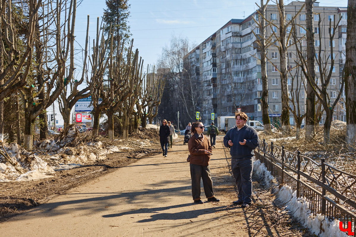 На земле груды спиленных веток, в воздухе висит терпкий смолистый дух, а вместо высоких и красивых деревьев – обрубленные пеньки. Во Владимире снова принялись омолаживать зеленый щит города. На этот раз звук бензопил раздавался по всему Суздальскому проспекту. Что не так с очередным актом благоустройства, «Ключ-Медиа» обсудил на месте с дендрологом Иваном Шматковым.