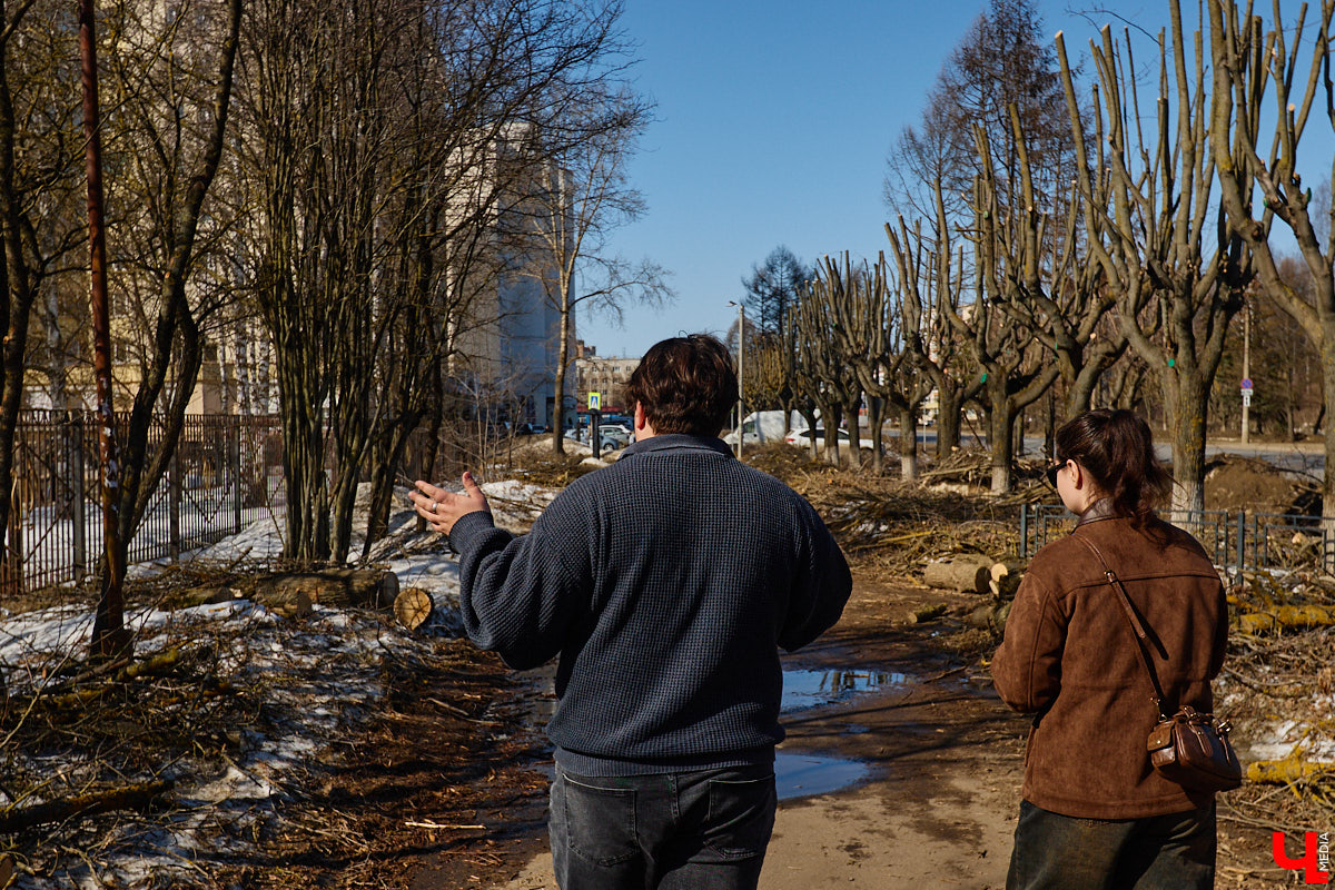 На земле груды спиленных веток, в воздухе висит терпкий смолистый дух, а вместо высоких и красивых деревьев – обрубленные пеньки. Во Владимире снова принялись омолаживать зеленый щит города. На этот раз звук бензопил раздавался по всему Суздальскому проспекту. Что не так с очередным актом благоустройства, «Ключ-Медиа» обсудил на месте с дендрологом Иваном Шматковым.
