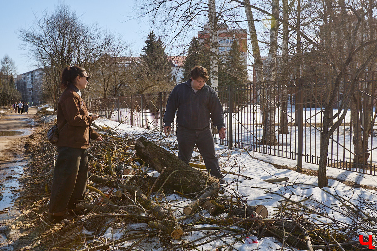 На земле груды спиленных веток, в воздухе висит терпкий смолистый дух, а вместо высоких и красивых деревьев – обрубленные пеньки. Во Владимире снова принялись омолаживать зеленый щит города. На этот раз звук бензопил раздавался по всему Суздальскому проспекту. Что не так с очередным актом благоустройства, «Ключ-Медиа» обсудил на месте с дендрологом Иваном Шматковым.
