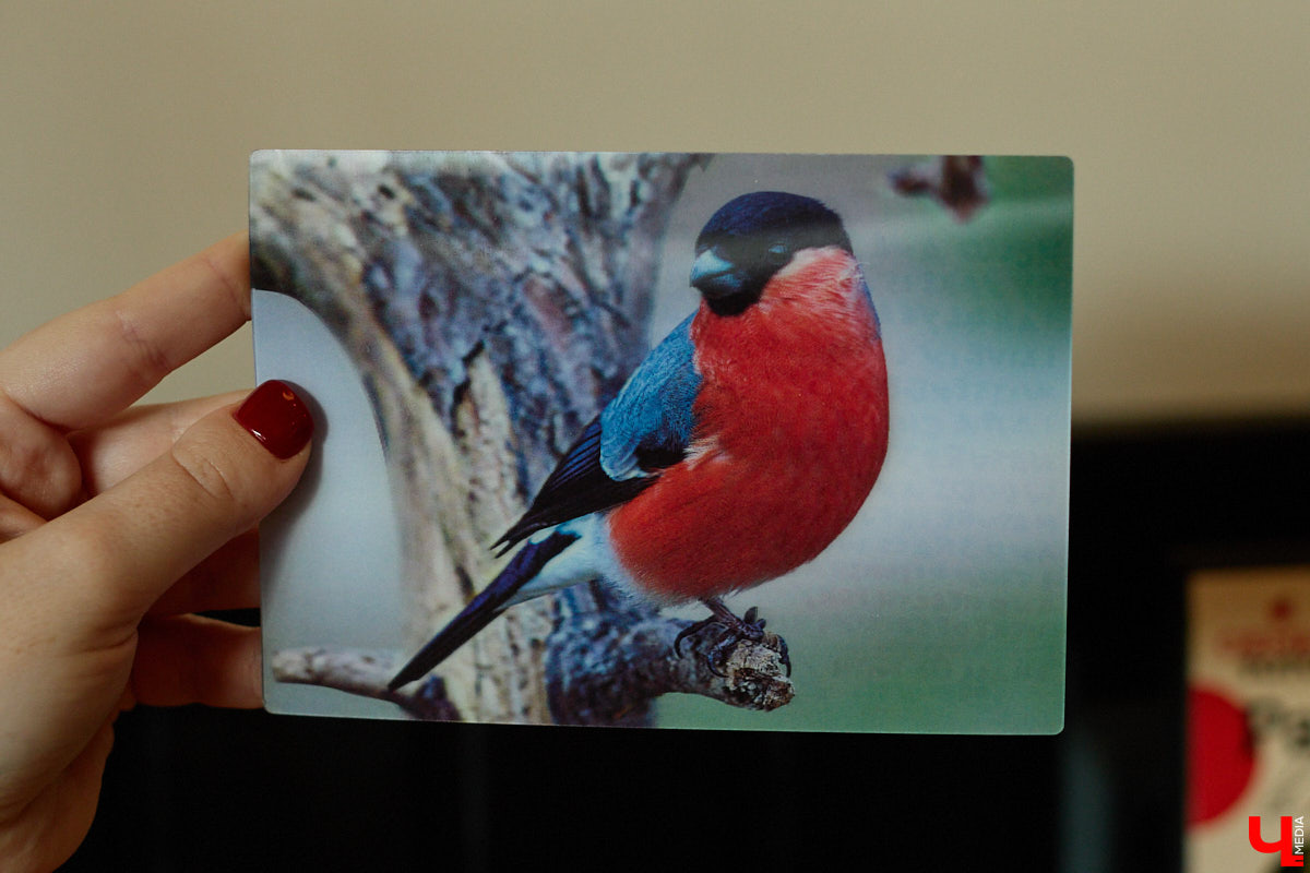 Дома у Анастасии Каревой хранятся чужие детские воспоминания. Они получены в виде открыток от людей со всего мира. Одни также делятся погодой за окном, другие пытаются начать романтические отношения. Мы поговорили с ней об отдельном мире под названием «посткроссинг», а заодно познакомились с историями из дальних стран и разных уголков России.