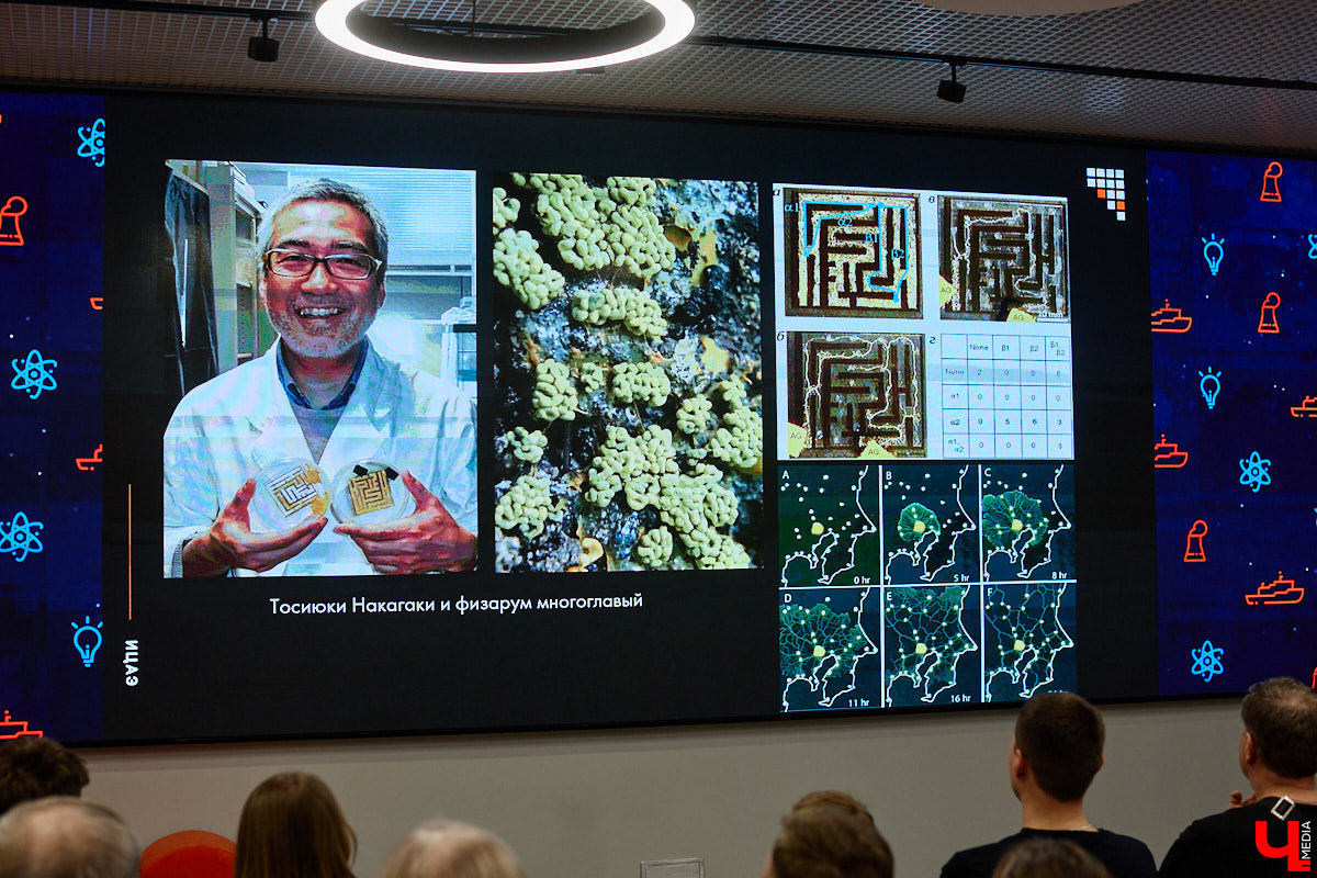 Что объединяет «Алису в Стране чудес», сериал The Last of Us и «Служебный роман»? Не поверите, но... грибы! Доказал эту гипотезу биолог Артем Мишулин. Специалист раскрыл все жизненные секреты этих тихонь, а также объяснил, почему они так сильно вдохновляют дизайнеров из киносферы брать их на главные роли.