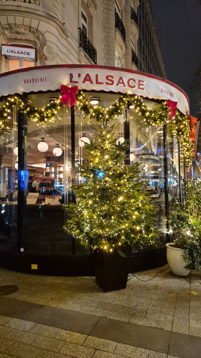 Горы мусора, толпы мигрантов и небезопасные улицы. Именно так описывали Париж Ольге Буниной ее друзья из французской столицы. Но отправившись в город любви в пятый раз, она открыла для себя совсем иную реальность. О своем путешествии, которое женщина вспоминает с огромной любовью, а также о развенчанных стереотипах про известнейшее место планеты туристка рассказала «Ключ-Медиа».