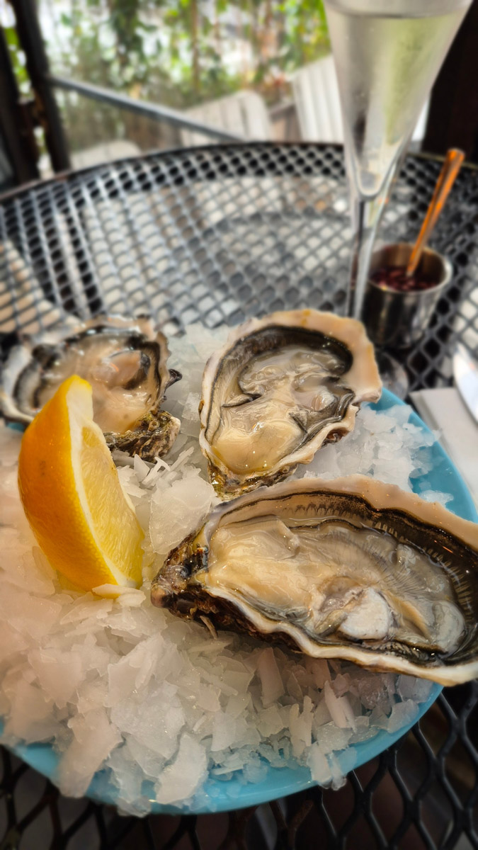 Горы мусора, толпы мигрантов и небезопасные улицы. Именно так описывали Париж Ольге Буниной ее друзья из французской столицы. Но отправившись в город любви в пятый раз, она открыла для себя совсем иную реальность. О своем путешествии, которое женщина вспоминает с огромной любовью, а также о развенчанных стереотипах про известнейшее место планеты туристка рассказала «Ключ-Медиа».