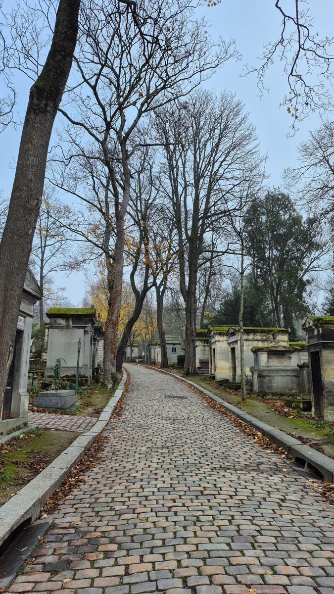 Горы мусора, толпы мигрантов и небезопасные улицы. Именно так описывали Париж Ольге Буниной ее друзья из французской столицы. Но отправившись в город любви в пятый раз, она открыла для себя совсем иную реальность. О своем путешествии, которое женщина вспоминает с огромной любовью, а также о развенчанных стереотипах про известнейшее место планеты туристка рассказала «Ключ-Медиа».