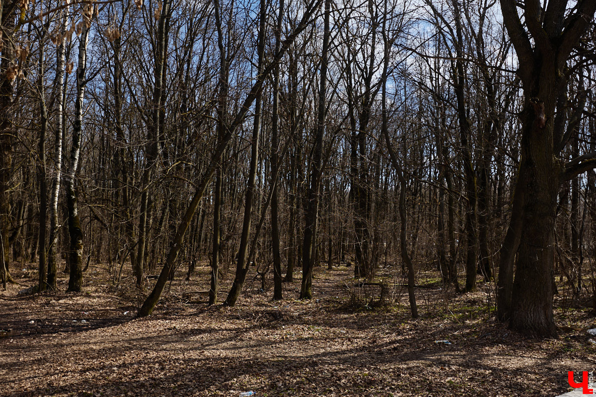 Юрьевец уже давно полноценная городская ячейка. Но мало кто знает, что сердце этого уголка поделено на две части. С одной стороны виден тихий сектор самых первых и уютных многоэтажек, с другой — растущие ввысь «человейники» с многочисленными магазинами. Ирина Коновалова прогулялась с нами по двум «параллельным мирам» микрорайона и рассказала, как изменились родные ей улочки за последние 15 лет.