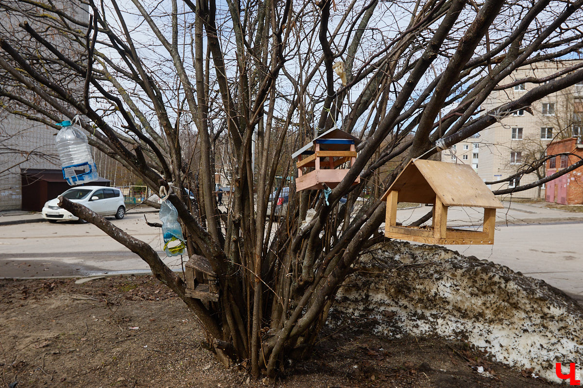 Юрьевец уже давно полноценная городская ячейка. Но мало кто знает, что сердце этого уголка поделено на две части. С одной стороны виден тихий сектор самых первых и уютных многоэтажек, с другой — растущие ввысь «человейники» с многочисленными магазинами. Ирина Коновалова прогулялась с нами по двум «параллельным мирам» микрорайона и рассказала, как изменились родные ей улочки за последние 15 лет.