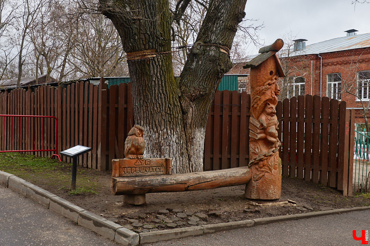 «Златая цепь» на дубе том всё же не выдержала. Ветви известного векового дерева на Георгиевской стали угрозой для пешеходов и воспитанников детского сада по соседству. В итоге на одной из главных туристических точек поставили ограждение. «Ключ-Медиа» узнал, что произошло с памятником природы, скованным, казалось бы, долговечной металлической стяжкой, и какая судьба его ждет.