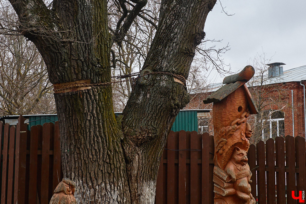 «Златая цепь» на дубе том всё же не выдержала. Ветви известного векового дерева на Георгиевской стали угрозой для пешеходов и воспитанников детского сада по соседству. В итоге на одной из главных туристических точек поставили ограждение. «Ключ-Медиа» узнал, что произошло с памятником природы, скованным, казалось бы, долговечной металлической стяжкой, и какая судьба его ждет.