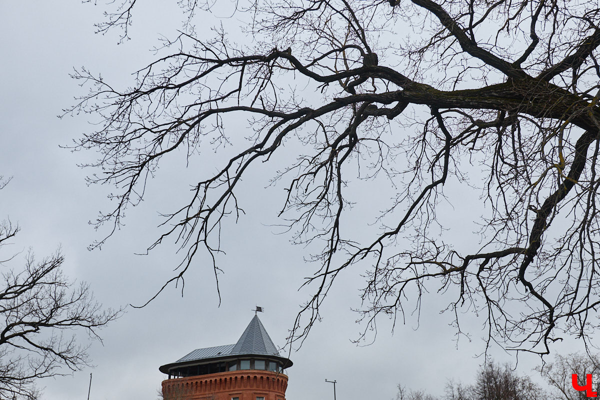 «Златая цепь» на дубе том всё же не выдержала. Ветви известного векового дерева на Георгиевской стали угрозой для пешеходов и воспитанников детского сада по соседству. В итоге на одной из главных туристических точек поставили ограждение. «Ключ-Медиа» узнал, что произошло с памятником природы, скованным, казалось бы, долговечной металлической стяжкой, и какая судьба его ждет.