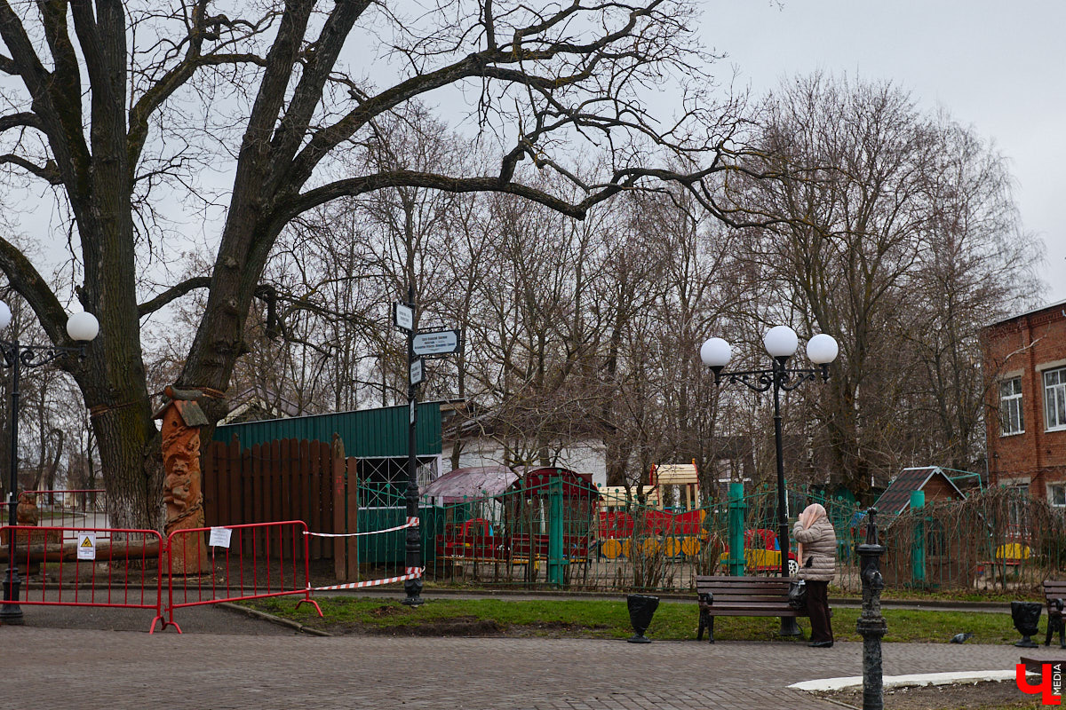 «Златая цепь» на дубе том всё же не выдержала. Ветви известного векового дерева на Георгиевской стали угрозой для пешеходов и воспитанников детского сада по соседству. В итоге на одной из главных туристических точек поставили ограждение. «Ключ-Медиа» узнал, что произошло с памятником природы, скованным, казалось бы, долговечной металлической стяжкой, и какая судьба его ждет.