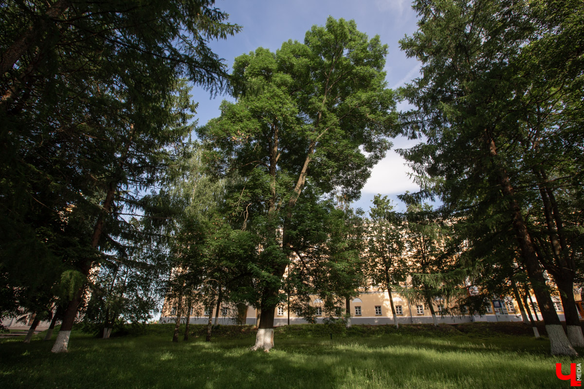 «Златая цепь» на дубе том всё же не выдержала. Ветви известного векового дерева на Георгиевской стали угрозой для пешеходов и воспитанников детского сада по соседству. В итоге на одной из главных туристических точек поставили ограждение. «Ключ-Медиа» узнал, что произошло с памятником природы, скованным, казалось бы, долговечной металлической стяжкой, и какая судьба его ждет.