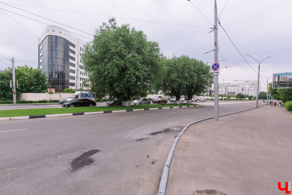 «Златая цепь» на дубе том всё же не выдержала. Ветви известного векового дерева на Георгиевской стали угрозой для пешеходов и воспитанников детского сада по соседству. В итоге на одной из главных туристических точек поставили ограждение. «Ключ-Медиа» узнал, что произошло с памятником природы, скованным, казалось бы, долговечной металлической стяжкой, и какая судьба его ждет.