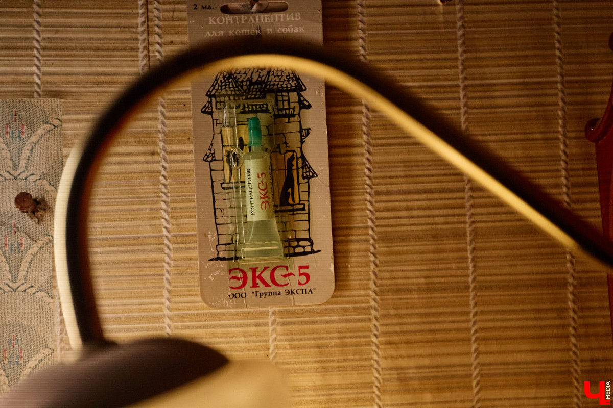 Заброшенный дом в историческом центре Владимира стал местом для смелого сценического эксперимента. Студия современного театра «Ромашка» поставила в квартире, где 20 лет никто не живет, спектакль «Ерофеевские зарисовки» и готовится еще удивить зрителей. При этом старые вещи ребята не выбросили, а использовали в постановке. «Ключ-Медиа» пригласили в помещение, где можно организовать сталк по заброшкам, но там играют актеры.