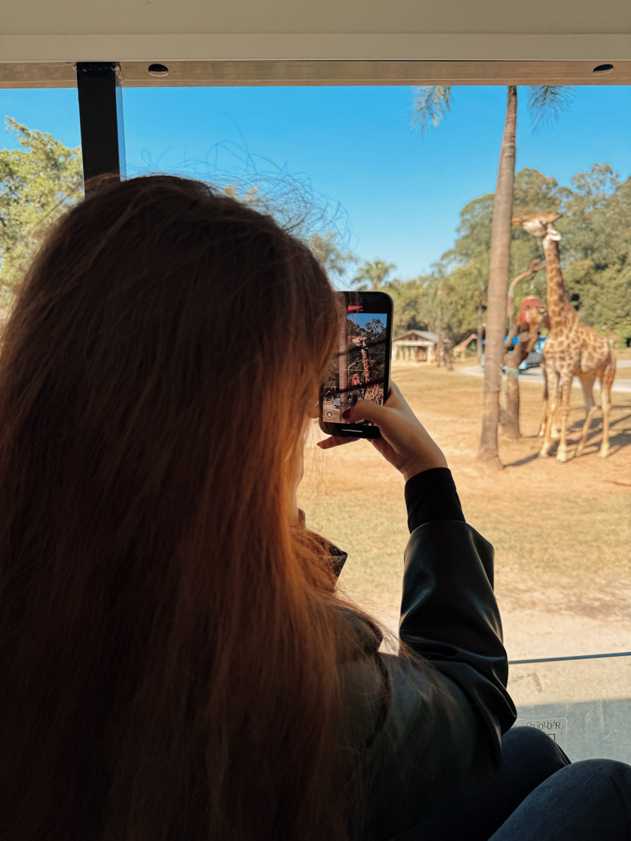 В мае 2025 года владимирский психолог Кристина Вдовина перебралась в Китай. Разумеется, такой головокружительный поворот оказался связан с массой впечатлений, трудностей и внутренних трансформаций. Спустя почти год жизни в Азии девушка готова поделиться своими выводами и умозаключениями.