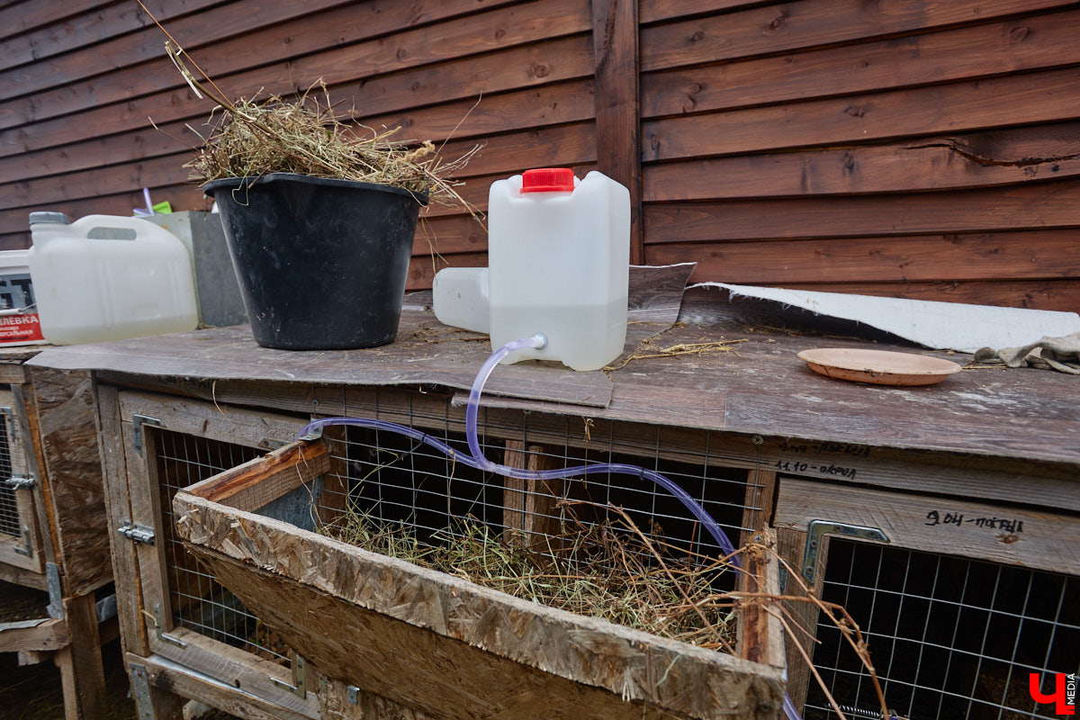 Самбист Антон Коновалов никогда не мечтал о жилье в новеньком ЖК. Поэтому, когда он купил участок с домом в деревне Юрино, никто из знакомых не удивился. В Сети чемпион России, Европы и мира рассказывает, как кормит кур и кроликов, пьет чай, наслаждаясь щебетом птиц, рубит дрова. Благодать, одним словом. И «Ключ-Медиа» перед ней не устоял — собрался и приехал к атлету в гости.
