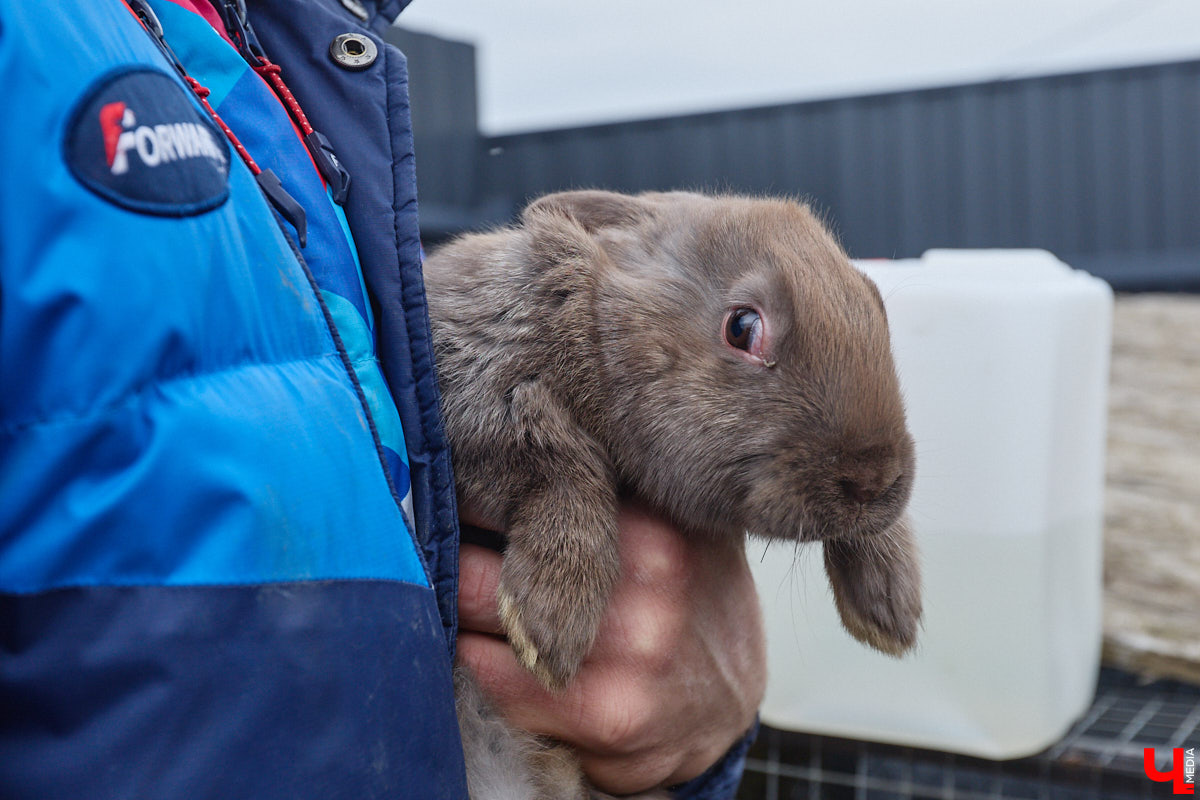 Самбист Антон Коновалов никогда не мечтал о жилье в новеньком ЖК. Поэтому, когда он купил участок с домом в деревне Юрино, никто из знакомых не удивился. В Сети чемпион России, Европы и мира рассказывает, как кормит кур и кроликов, пьет чай, наслаждаясь щебетом птиц, рубит дрова. Благодать, одним словом. И «Ключ-Медиа» перед ней не устоял — собрался и приехал к атлету в гости.