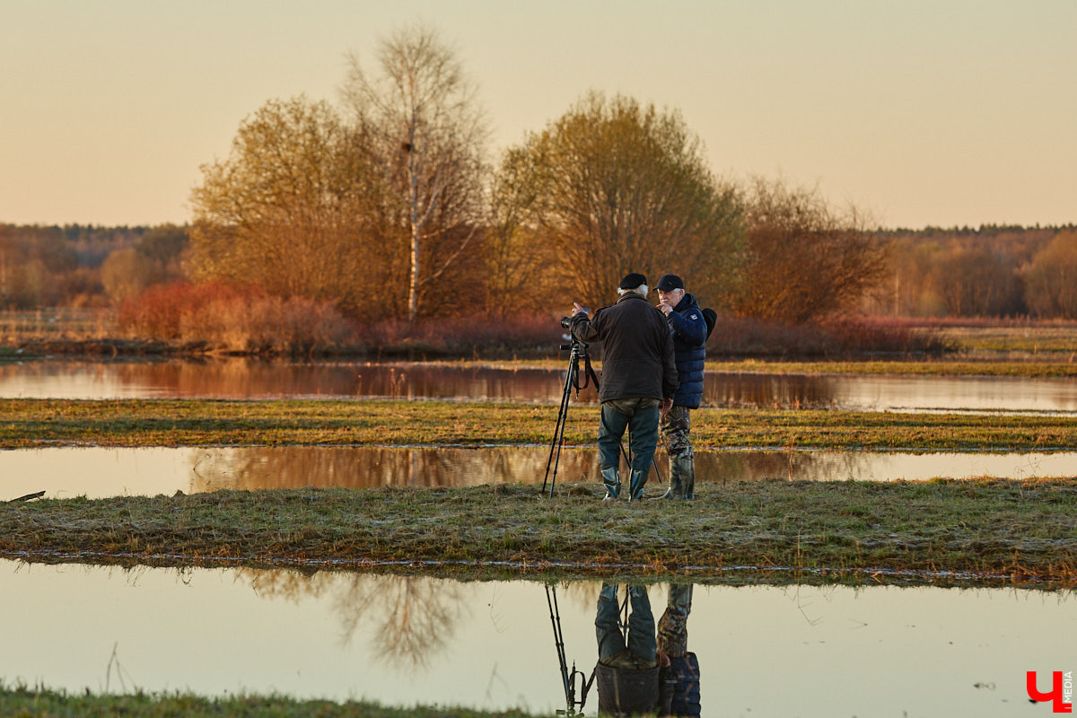 В прошлом году «маленькую Венецию» в Боголюбове нам застать не удалось из-за слишком теплой зимы. Зато в 2026-м луг у белокаменного шедевра знатно затопило вышедшими из берегов реками. В апреле, невзирая на погоду, пространство вокруг памятника заполнили ценители прекрасного: кто пешком, кто по воде.