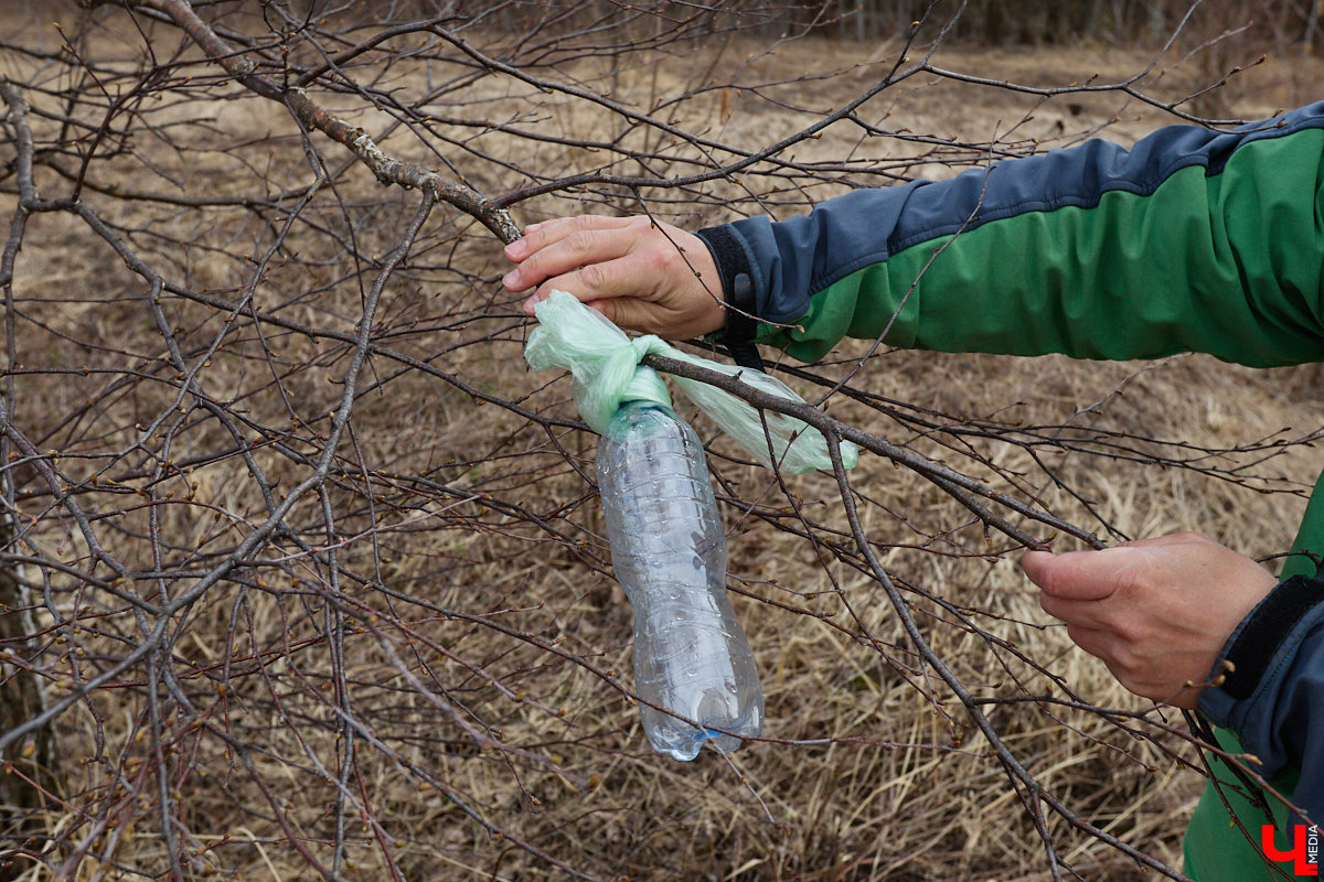 Во Владимирской области наступило идеальное время для сбора березового сока. Делать это лучше всего за городом, выбрать в лесу взрослое дерево и аккуратно сцедить пару литров живительной влаги. Как правильно собирать нектар, чтобы береза не пострадала, «Ключ-Медиа» рассказал биолог Владимир Горькавый.