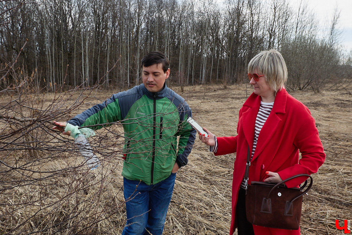 Во Владимирской области наступило идеальное время для сбора березового сока. Делать это лучше всего за городом, выбрать в лесу взрослое дерево и аккуратно сцедить пару литров живительной влаги. Как правильно собирать нектар, чтобы береза не пострадала, «Ключ-Медиа» рассказал биолог Владимир Горькавый.