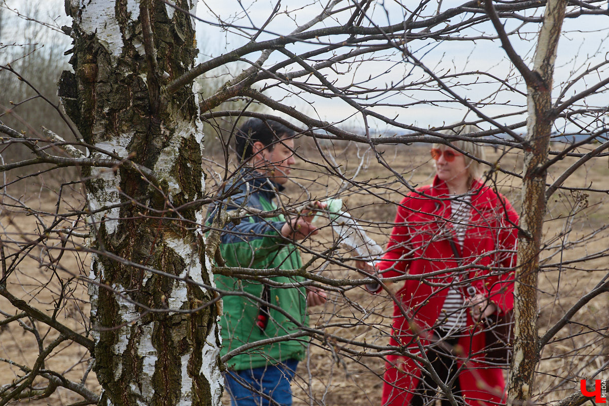 Во Владимирской области наступило идеальное время для сбора березового сока. Делать это лучше всего за городом, выбрать в лесу взрослое дерево и аккуратно сцедить пару литров живительной влаги. Как правильно собирать нектар, чтобы береза не пострадала, «Ключ-Медиа» рассказал биолог Владимир Горькавый.