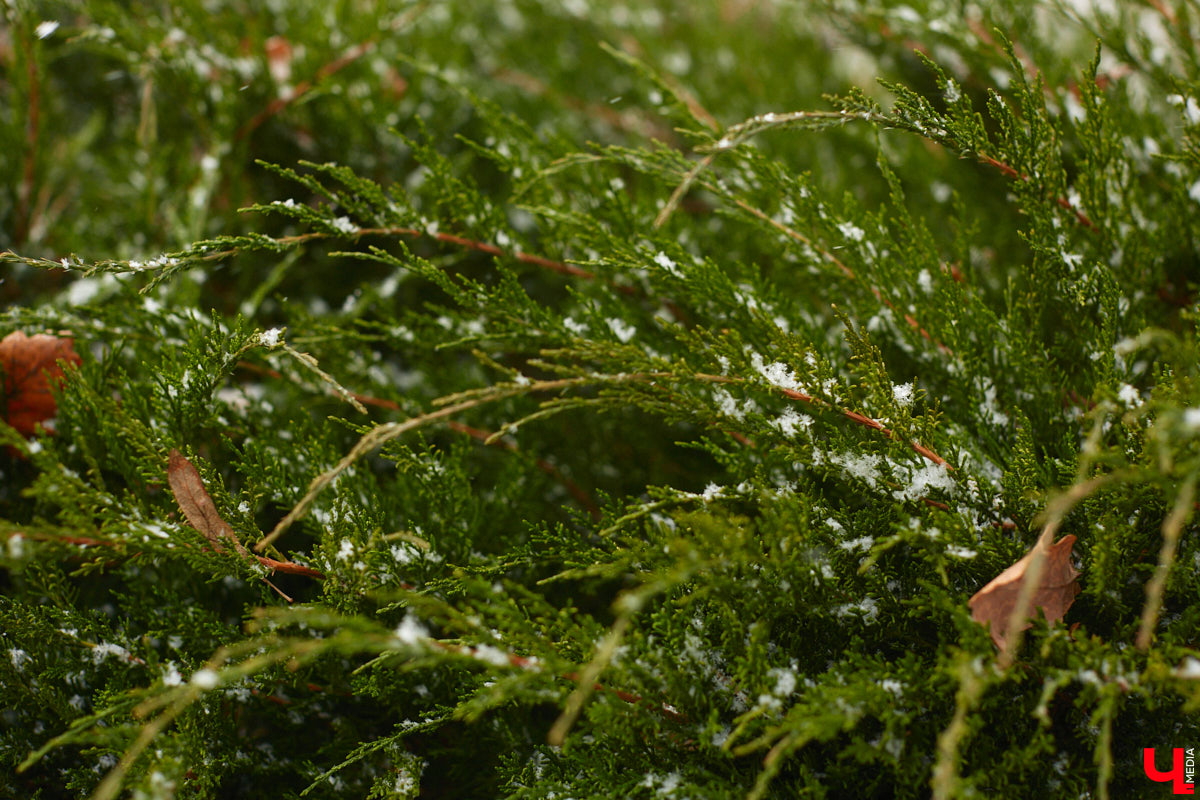 Не успели мы вдоволь насладиться почти летним теплом, как снова-здорово. Регион засыпало снегом, МЧС предупреждает о гололедице и порывах ветра до 17 метров в секунду. Настроение упало до нуля, как и температура воздуха. Прогноз, к сожалению, тоже не вселяет оптимизма.