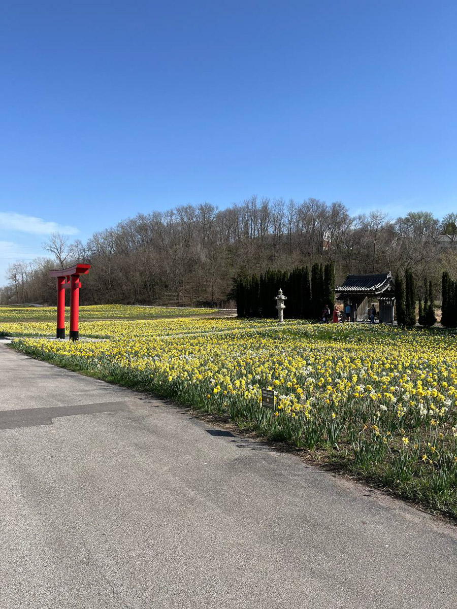 Владимирский боец ММА Вероника Борисова находится в США с февраля 2024 года. За последние пару лет она успела принять участие в нескольких боях, поставить карьеру на паузу, выйти замуж. О крутых поворотах на жизненном пути чемпионка поведала «Ключ-Медиа».