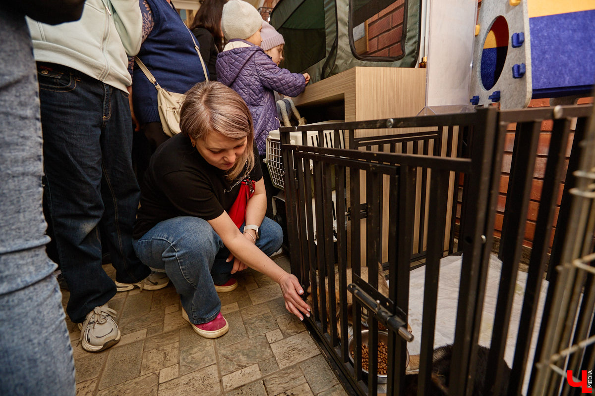 В минувшую субботу по адресу: Чайковского, 44б можно было услышать лай и писк четырехлапых малышей. Собрали крох на площадке доброцентра — в новой точке притяжения неравнодушных к судьбам животных людей. Директор зоодома Юлия Буйницкая рассчитывает, что место привлечет дополнительную помощь мокроносам и обеспечит каждого обратившегося верным другом без лишних хлопот.