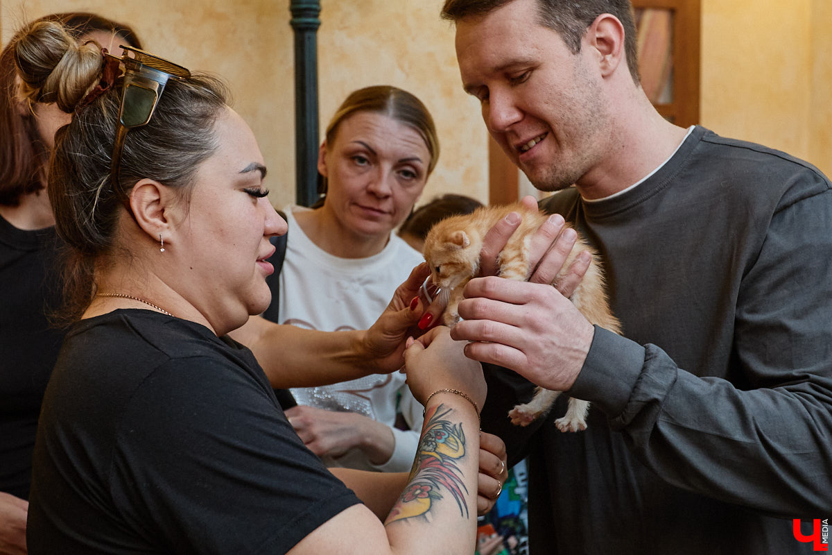 В минувшую субботу по адресу: Чайковского, 44б можно было услышать лай и писк четырехлапых малышей. Собрали крох на площадке доброцентра — в новой точке притяжения неравнодушных к судьбам животных людей. Директор зоодома Юлия Буйницкая рассчитывает, что место привлечет дополнительную помощь мокроносам и обеспечит каждого обратившегося верным другом без лишних хлопот.