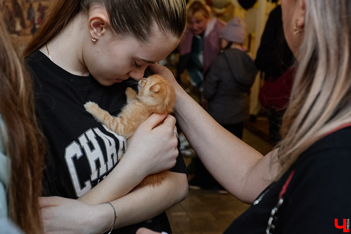 В минувшую субботу по адресу: Чайковского, 44б можно было услышать лай и писк четырехлапых малышей. Собрали крох на площадке доброцентра — в новой точке притяжения неравнодушных к судьбам животных людей. Директор зоодома Юлия Буйницкая рассчитывает, что место привлечет дополнительную помощь мокроносам и обеспечит каждого обратившегося верным другом без лишних хлопот.