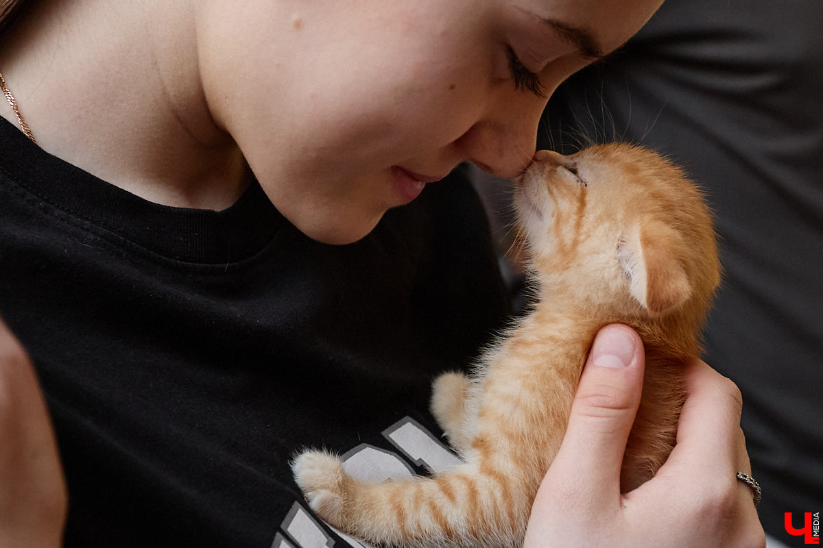 В минувшую субботу по адресу: Чайковского, 44б можно было услышать лай и писк четырехлапых малышей. Собрали крох на площадке доброцентра — в новой точке притяжения неравнодушных к судьбам животных людей. Директор зоодома Юлия Буйницкая рассчитывает, что место привлечет дополнительную помощь мокроносам и обеспечит каждого обратившегося верным другом без лишних хлопот.