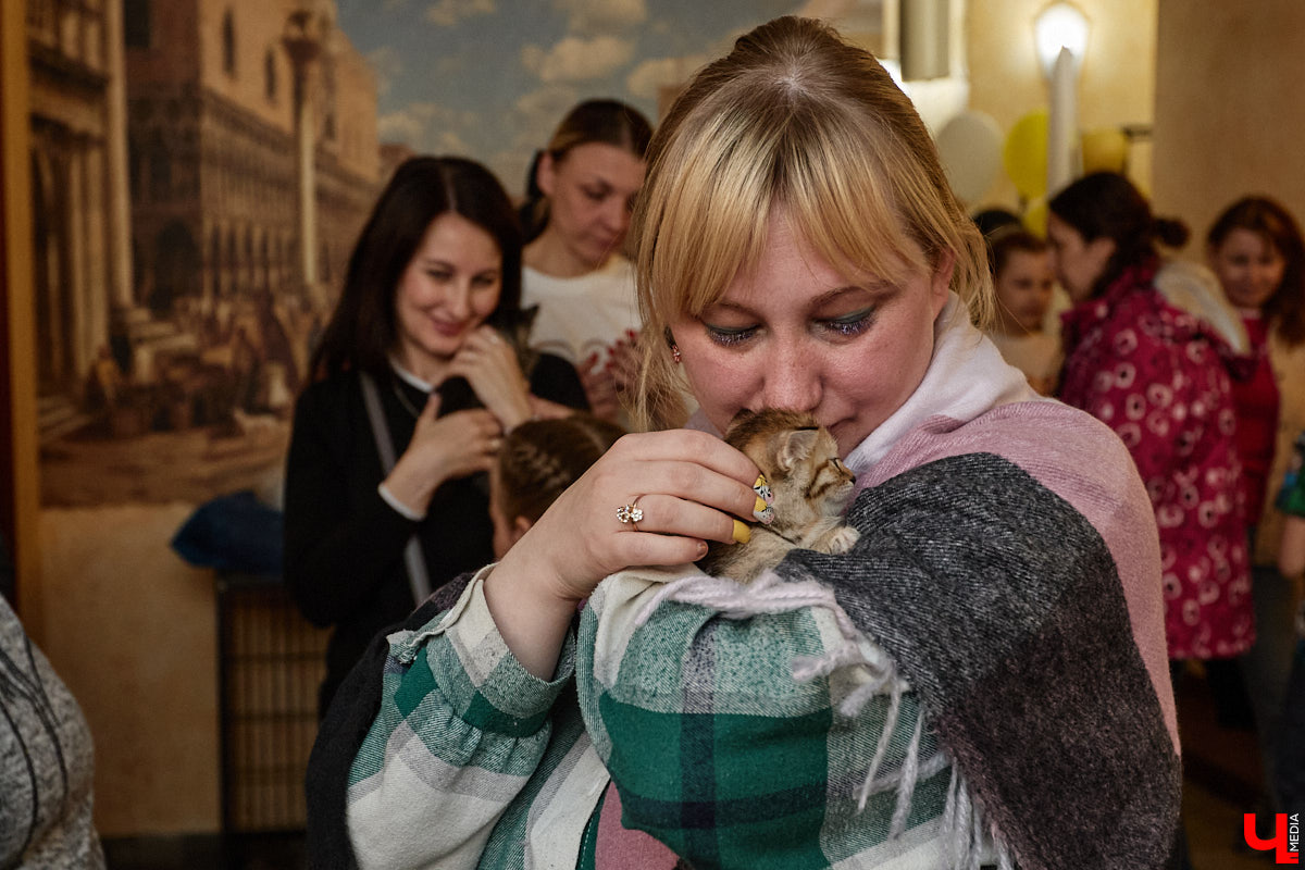 В минувшую субботу по адресу: Чайковского, 44б можно было услышать лай и писк четырехлапых малышей. Собрали крох на площадке доброцентра — в новой точке притяжения неравнодушных к судьбам животных людей. Директор зоодома Юлия Буйницкая рассчитывает, что место привлечет дополнительную помощь мокроносам и обеспечит каждого обратившегося верным другом без лишних хлопот.