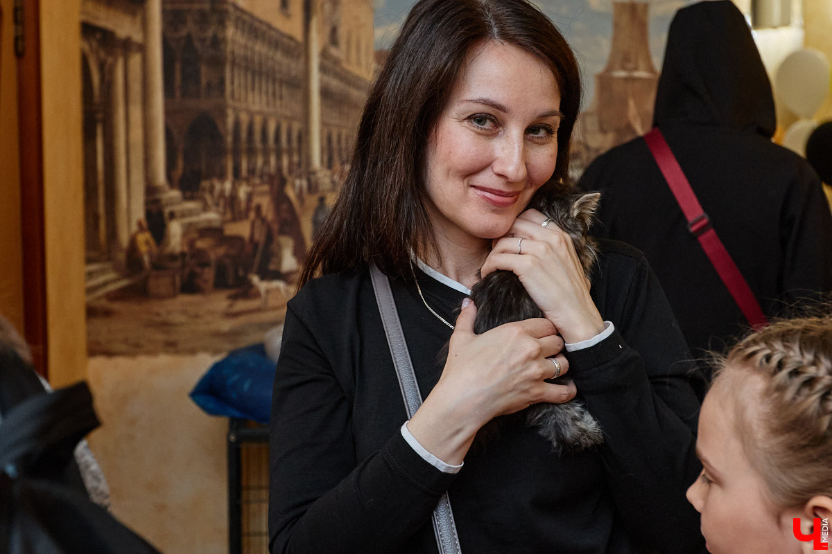 В минувшую субботу по адресу: Чайковского, 44б можно было услышать лай и писк четырехлапых малышей. Собрали крох на площадке доброцентра — в новой точке притяжения неравнодушных к судьбам животных людей. Директор зоодома Юлия Буйницкая рассчитывает, что место привлечет дополнительную помощь мокроносам и обеспечит каждого обратившегося верным другом без лишних хлопот.