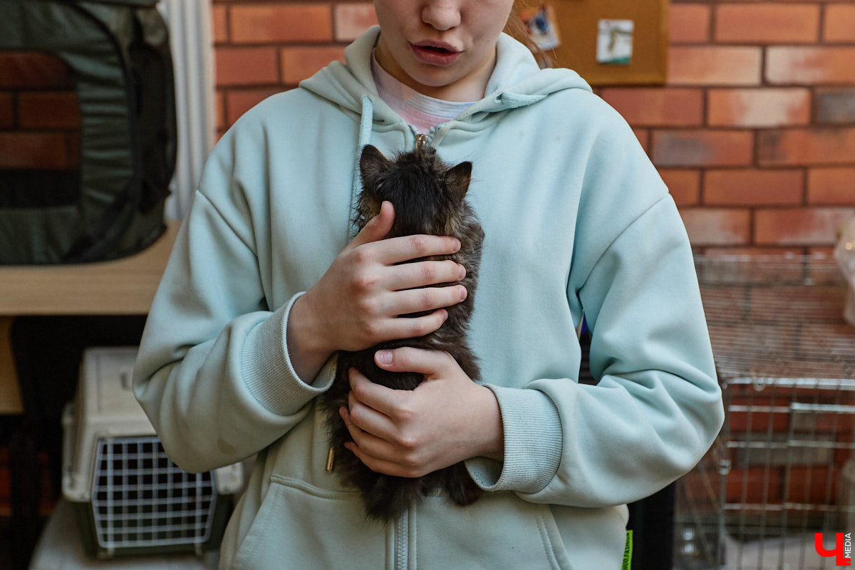 В минувшую субботу по адресу: Чайковского, 44б можно было услышать лай и писк четырехлапых малышей. Собрали крох на площадке доброцентра — в новой точке притяжения неравнодушных к судьбам животных людей. Директор зоодома Юлия Буйницкая рассчитывает, что место привлечет дополнительную помощь мокроносам и обеспечит каждого обратившегося верным другом без лишних хлопот.