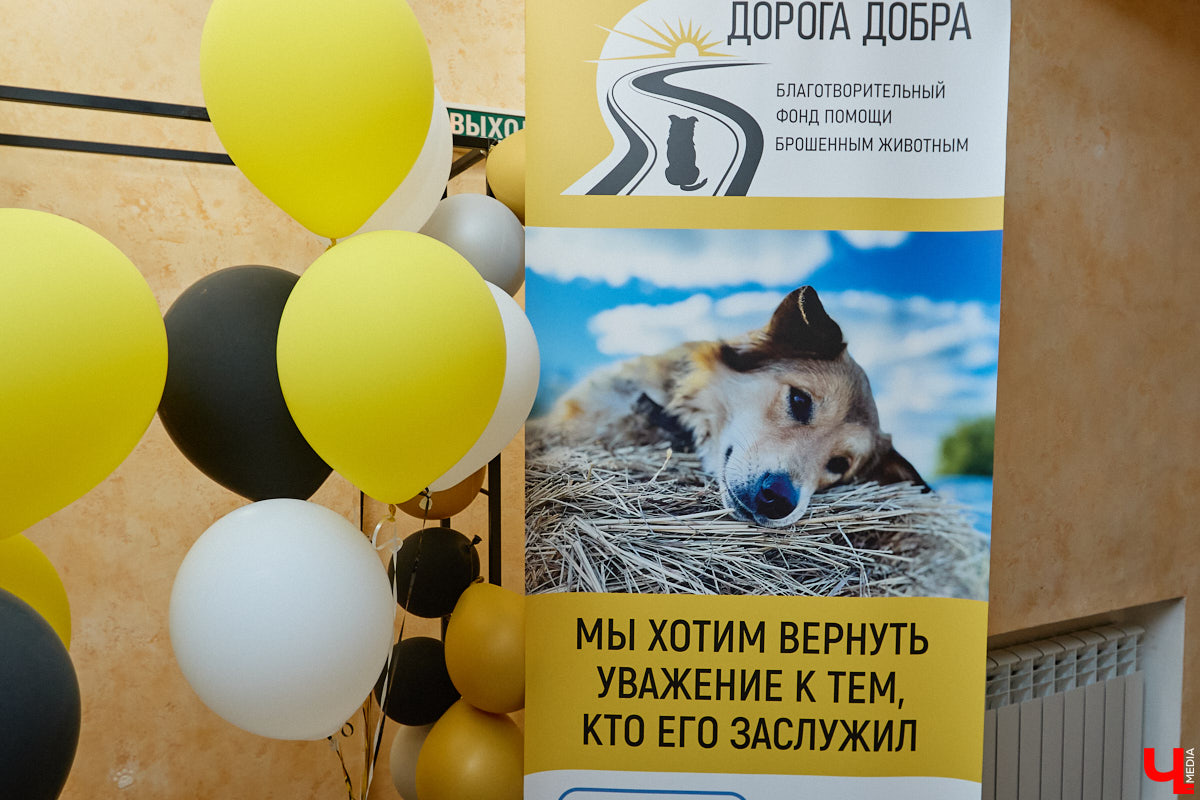 В минувшую субботу по адресу: Чайковского, 44б можно было услышать лай и писк четырехлапых малышей. Собрали крох на площадке доброцентра — в новой точке притяжения неравнодушных к судьбам животных людей. Директор зоодома Юлия Буйницкая рассчитывает, что место привлечет дополнительную помощь мокроносам и обеспечит каждого обратившегося верным другом без лишних хлопот.