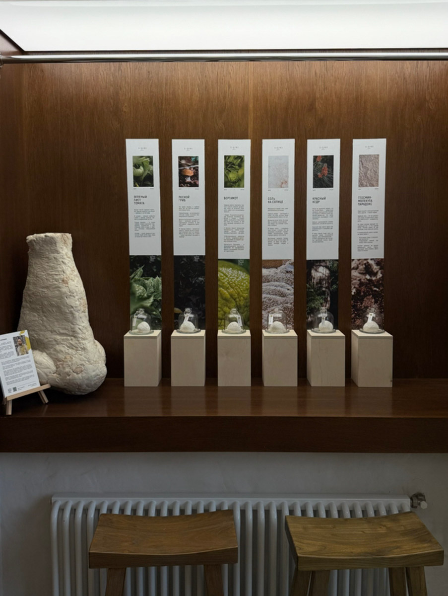 Что может связывать эстетику Ренессанса, науку об ароматах и гастрономический эксперимент? Кондитерская «Slovno в мае»! Владимирская лаборатория вкусов презентовала необычный десерт — NÓSEHOC. И по наименованию уже можно представить, в форме чего сделано лакомство — идеального носа. Ну а источником вдохновения послужил один из главных символов эпохи Возрождения — мраморная статуя Давида.