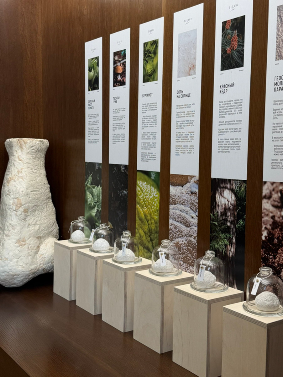 Что может связывать эстетику Ренессанса, науку об ароматах и гастрономический эксперимент? Кондитерская «Slovno в мае»! Владимирская лаборатория вкусов презентовала необычный десерт — NÓSEHOC. И по наименованию уже можно представить, в форме чего сделано лакомство — идеального носа. Ну а источником вдохновения послужил один из главных символов эпохи Возрождения — мраморная статуя Давида.