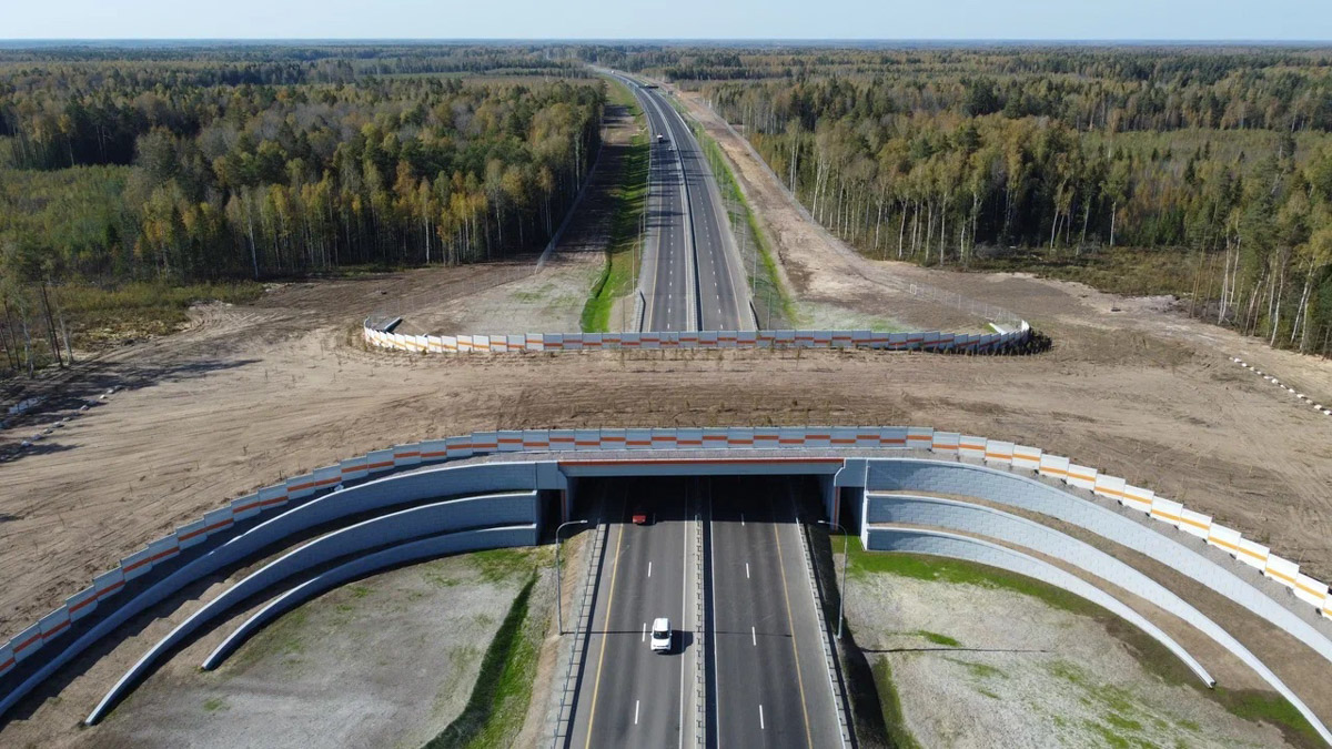 Компания «Автодор» представила собственную фантазию на тему: как выглядела бы скоростная дорога М-12 «Восток» десятки миллионов лет назад. Под мостом в Муроме проплывает ихтиозавр, а по экодуку не спеша гуляют терапсиды. «Ключ-Медиа» решил узнать у эксперта, что представлял собой наш край в эру, когда здесь были совсем другие природные условия.