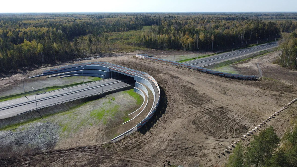 Компания «Автодор» представила собственную фантазию на тему: как выглядела бы скоростная дорога М-12 «Восток» десятки миллионов лет назад. Под мостом в Муроме проплывает ихтиозавр, а по экодуку не спеша гуляют терапсиды. «Ключ-Медиа» решил узнать у эксперта, что представлял собой наш край в эру, когда здесь были совсем другие природные условия.