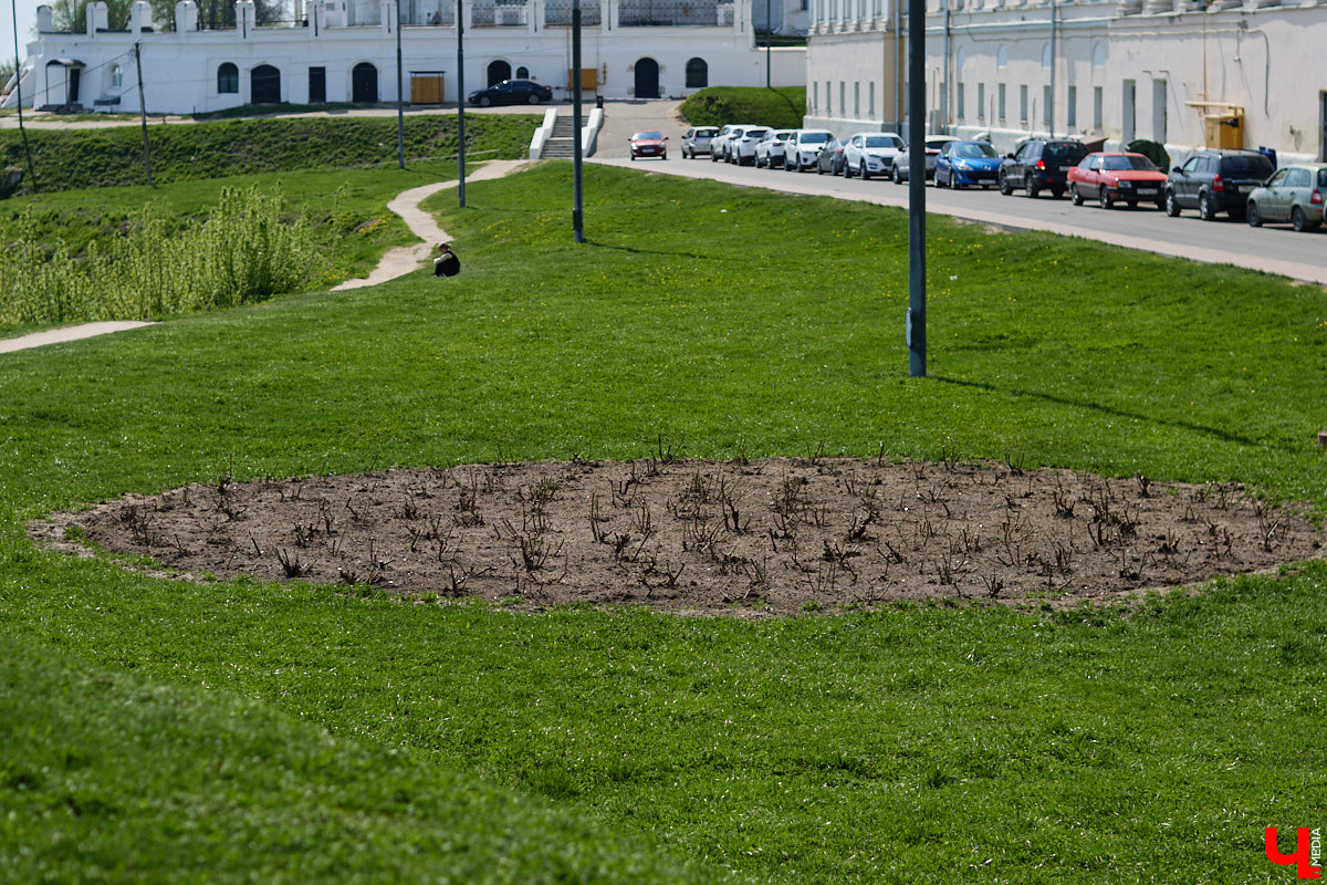 Во Владимире стартовал сезон фонтанов. Не запустили лишь старейший, тот, что находится в сквере «Липки». Конструкцию закрыли на реставрацию минимум до весны 2027 года. Чашу уже огородили по периметру деревянным забором. А скоро строительные леса появятся и на памятнике с фигурами зодчего, рабочего и воина на Соборной площади. Как же сейчас выглядит главная туристическая локация города?