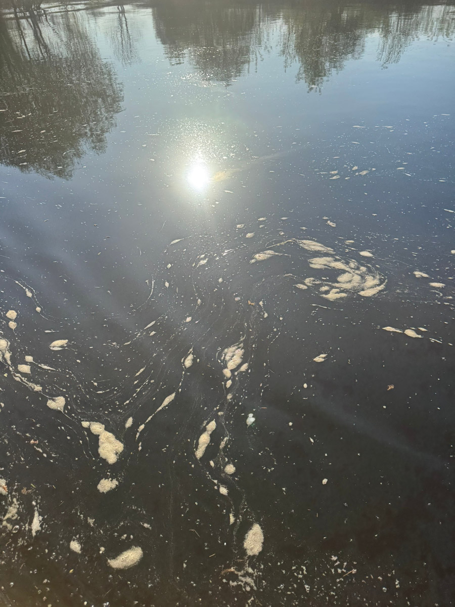 Недавно во Владимире прошла уборка на правом берегу главной водной артерии 33-го региона. Акция собрала около 150 участников из нашей и Московской областей. Однако после осталось неприятное послевкусие проблем, о которых буквально кричали рыбаки еще два года назад. «Ключ-Медиа» выяснил, что происходит на зеркальной глади Клязьмы.