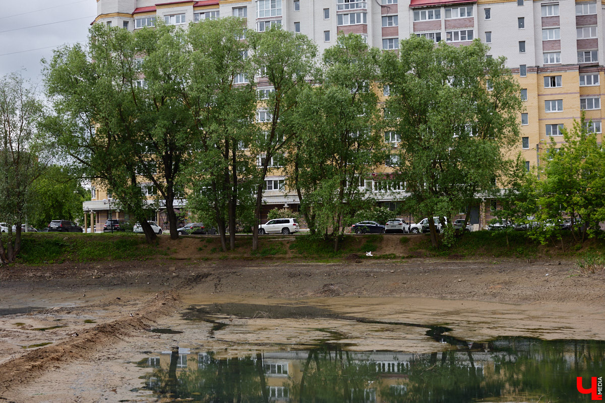 Владимирцы проголосовали за благоустройство трех локаций. Одной из них стал Соловьиный пруд у ВлГУ. Для того чтобы провести необходимые работы, акваторию осушили. На данный момент от прежнего живописного вида остались лишь лужицы на дне.