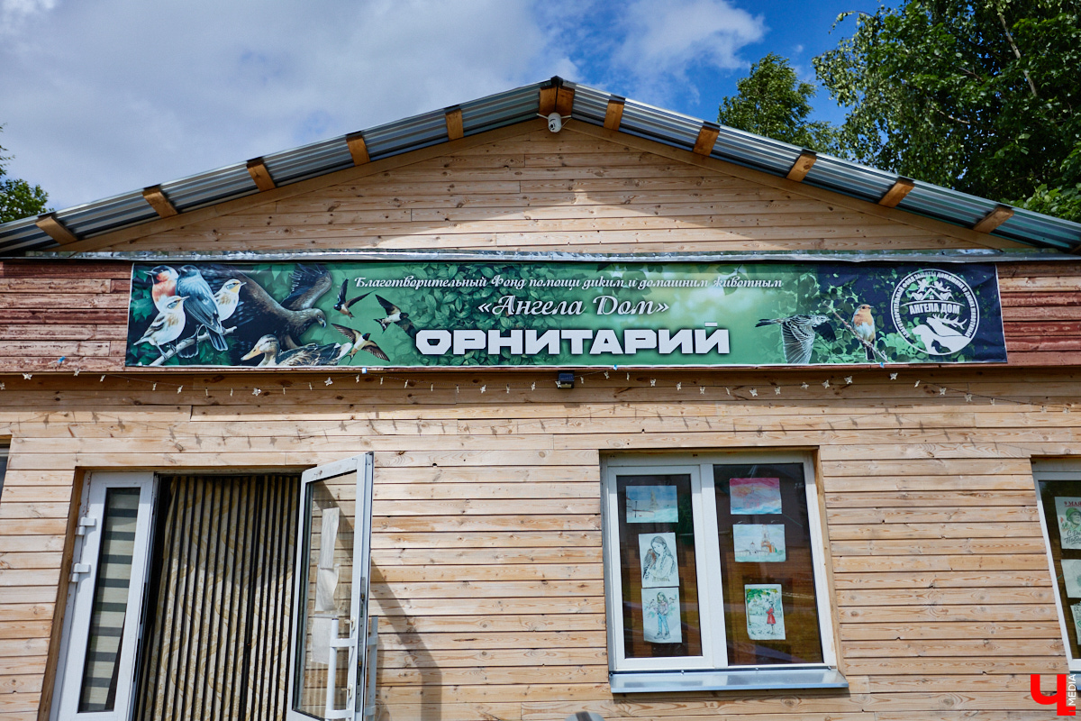 А вы уже успели побывать в суздальском орнитарии? Если нет, стоит туда заглянуть. Реабилитационный центр для лечения и спасения краснокнижных птиц — уникальное место, где можно увидеть пернатых из дикой природы, которым человек пришел на помощь в трудный момент.