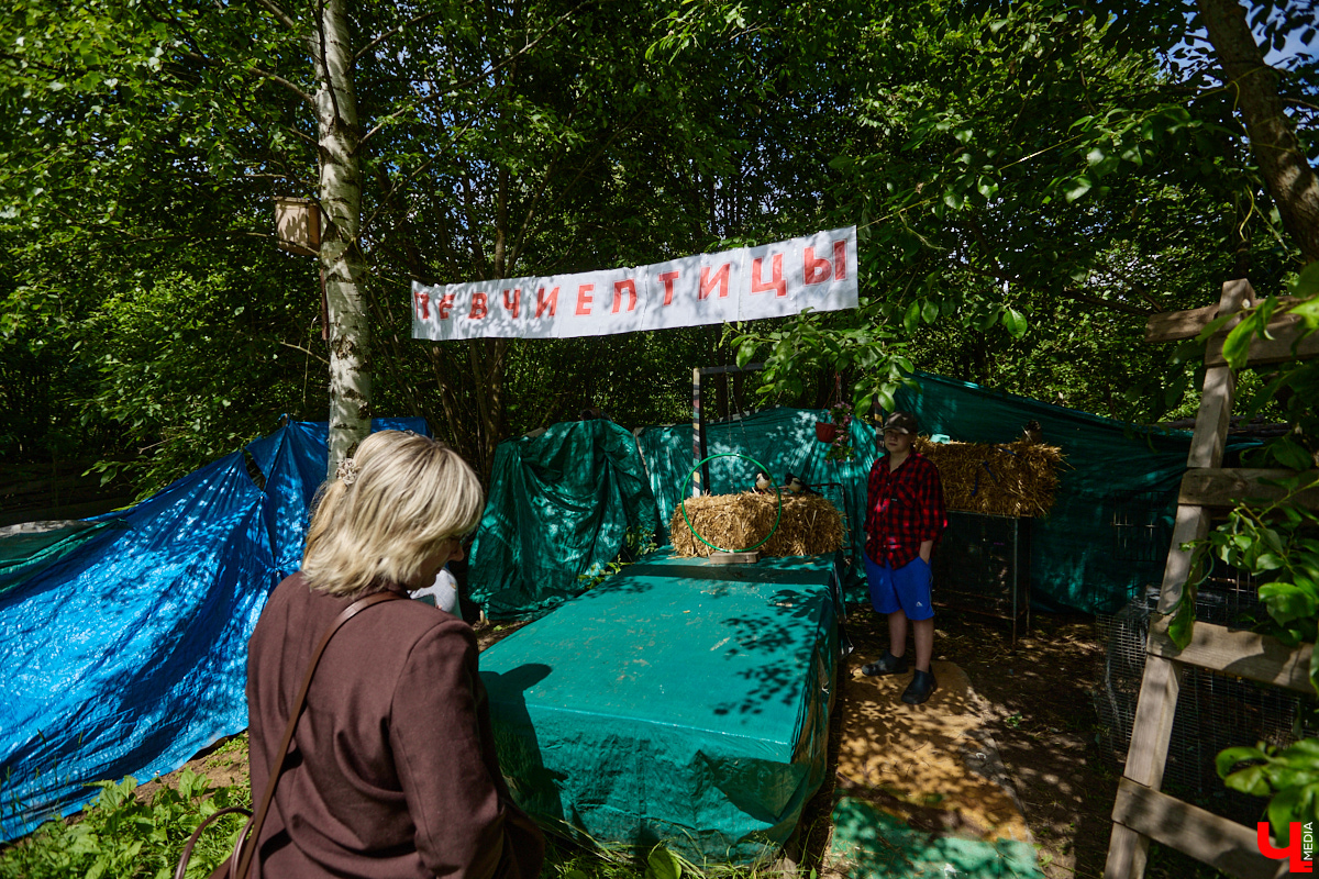 А вы уже успели побывать в суздальском орнитарии? Если нет, стоит туда заглянуть. Реабилитационный центр для лечения и спасения краснокнижных птиц — уникальное место, где можно увидеть пернатых из дикой природы, которым человек пришел на помощь в трудный момент.