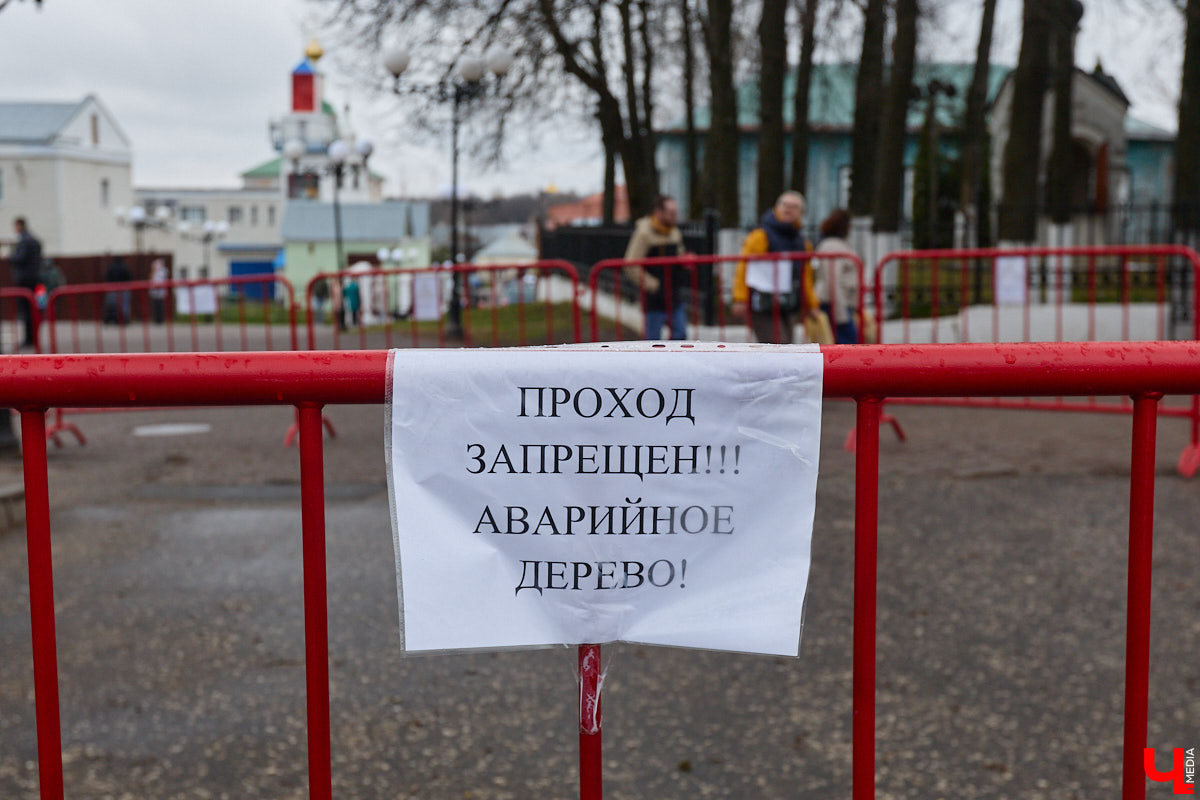 На Георгиевской улице в центре Владимире развернулась самая настоящая медицинская лаборатория. В роли пациента выступил всем известный сказочный дуб. С помощью импульсного томографа провели высокотехнологичный осмотр зеленого долгожителя. Он и определил состояние дерева, которому очень не везет с начала года. «Ключ-Медиа» выяснил все подробности о судьбе столетнего красавца.