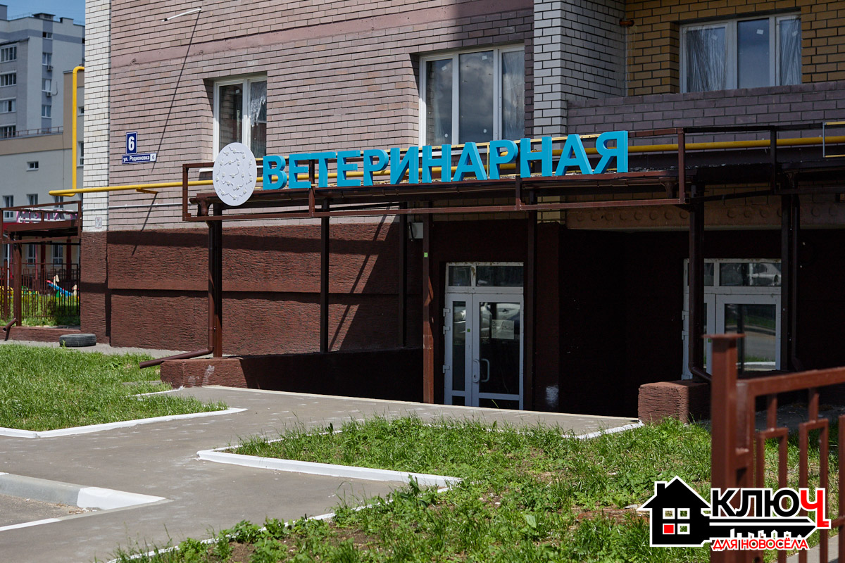 За последнее время Юрьевец стал идеальным местом для жизни с домашними питомцами. Там появились просторные зоны для выгула, современные ветклиники и даже свои груминг-салоны. В рамках проекта «Ключ для новосела» мы выяснили, насколько микрорайон дружелюбен к собакам, кошкам и их хозяевам, а также какие услуги там могут получить пушистые члены семей.