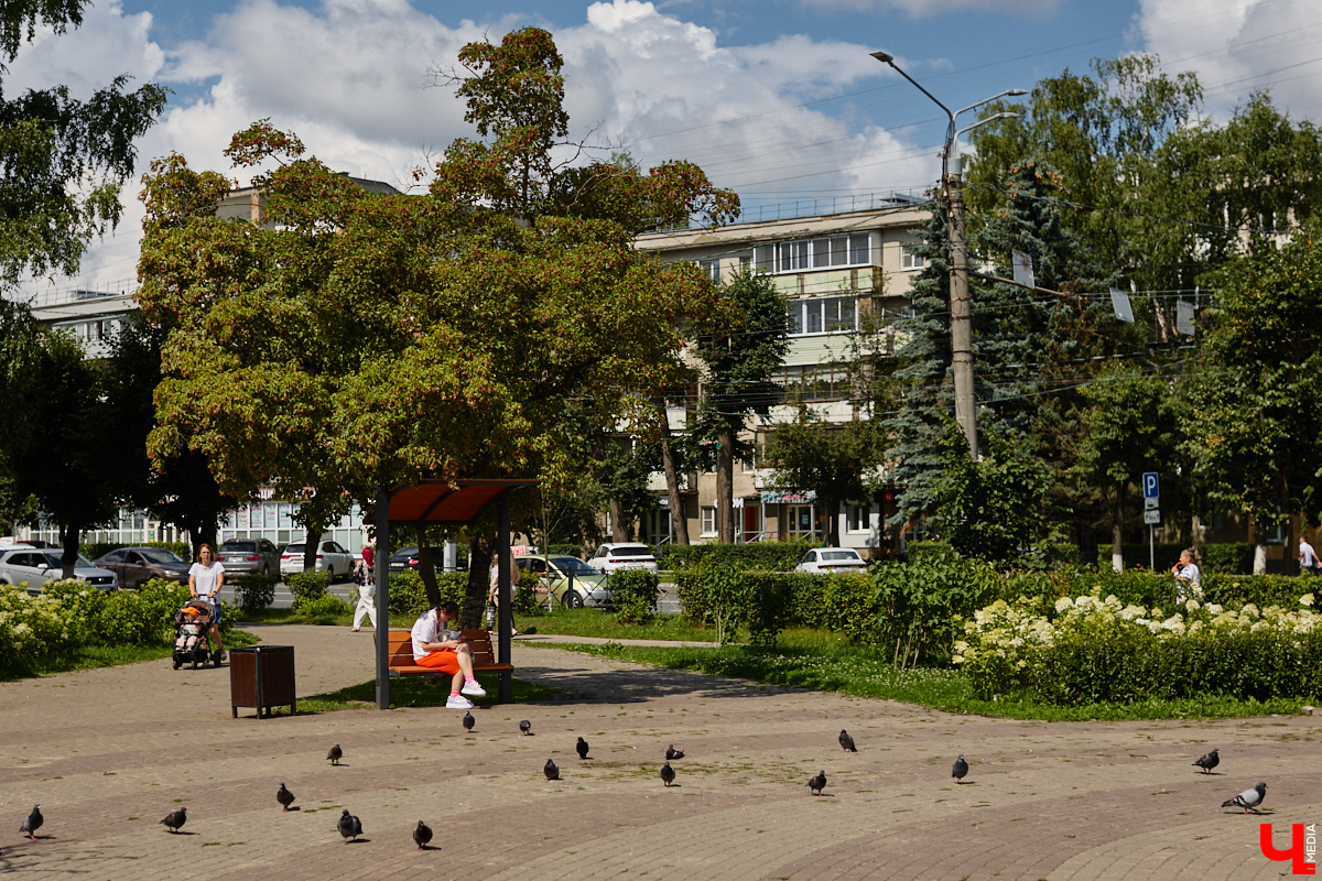 Исторический центр Владимира в этом году не узнать: несколько городских достопримечательностей скрылись за железным занавесом, культурные учреждения выглядывают из-за зеленых сеток в ожидании нового вида. Коснулись перемены и популярных городских пространств. Каких именно, рассказываем в материале.