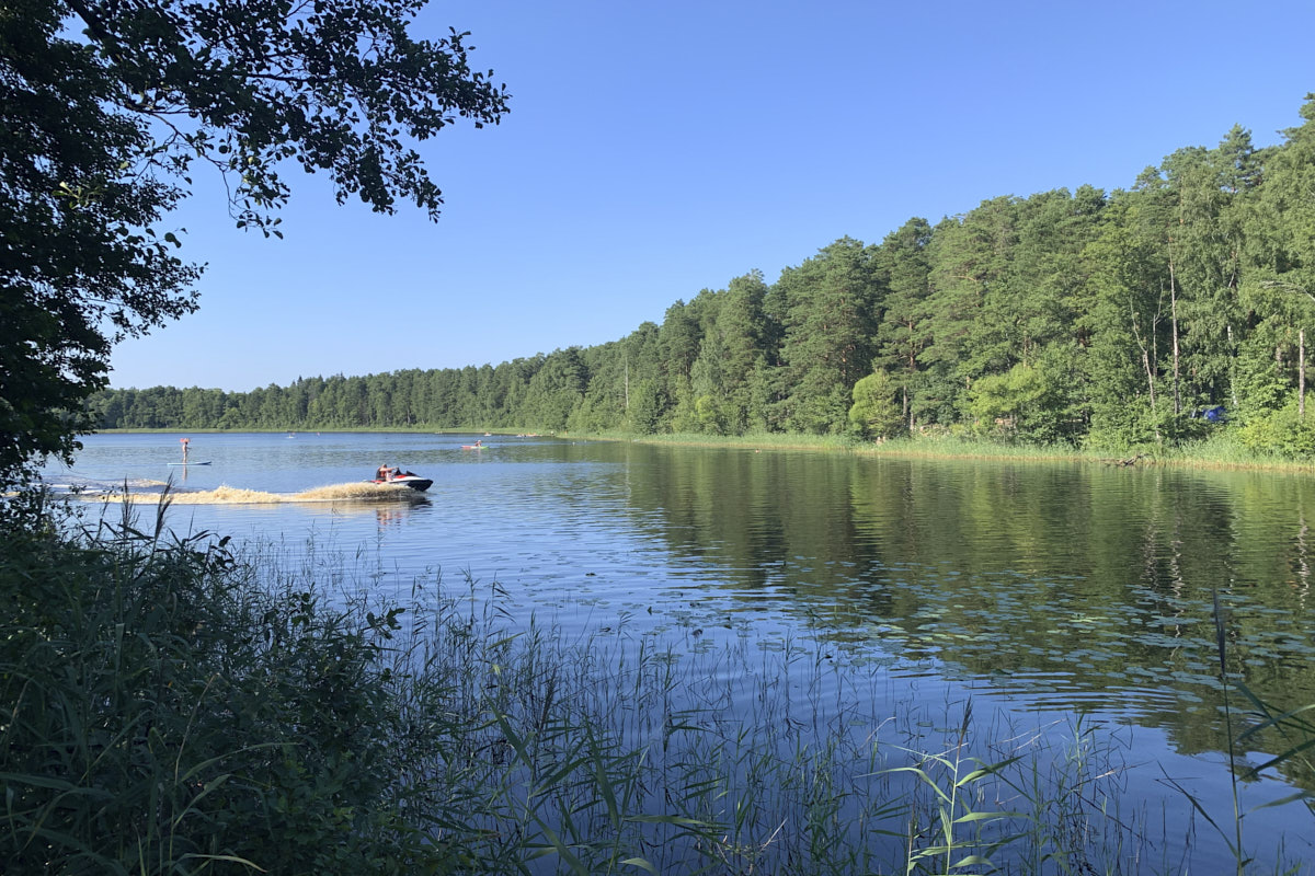 Хочется отдохнуть у воды, а ехать к Черному морю не рискуете из-за кризиса с топливом? Обратите внимание на Черное озеро, расположенное в Покрове. Всего час на машине от Владимира — и вы окажетесь в удивительном месте, недавно открывшемся после благоустройства. Вход на территорию бесплатный, а сама локация радует не только песчаным пляжем, но и смотровыми площадками, а также экологическими тропами