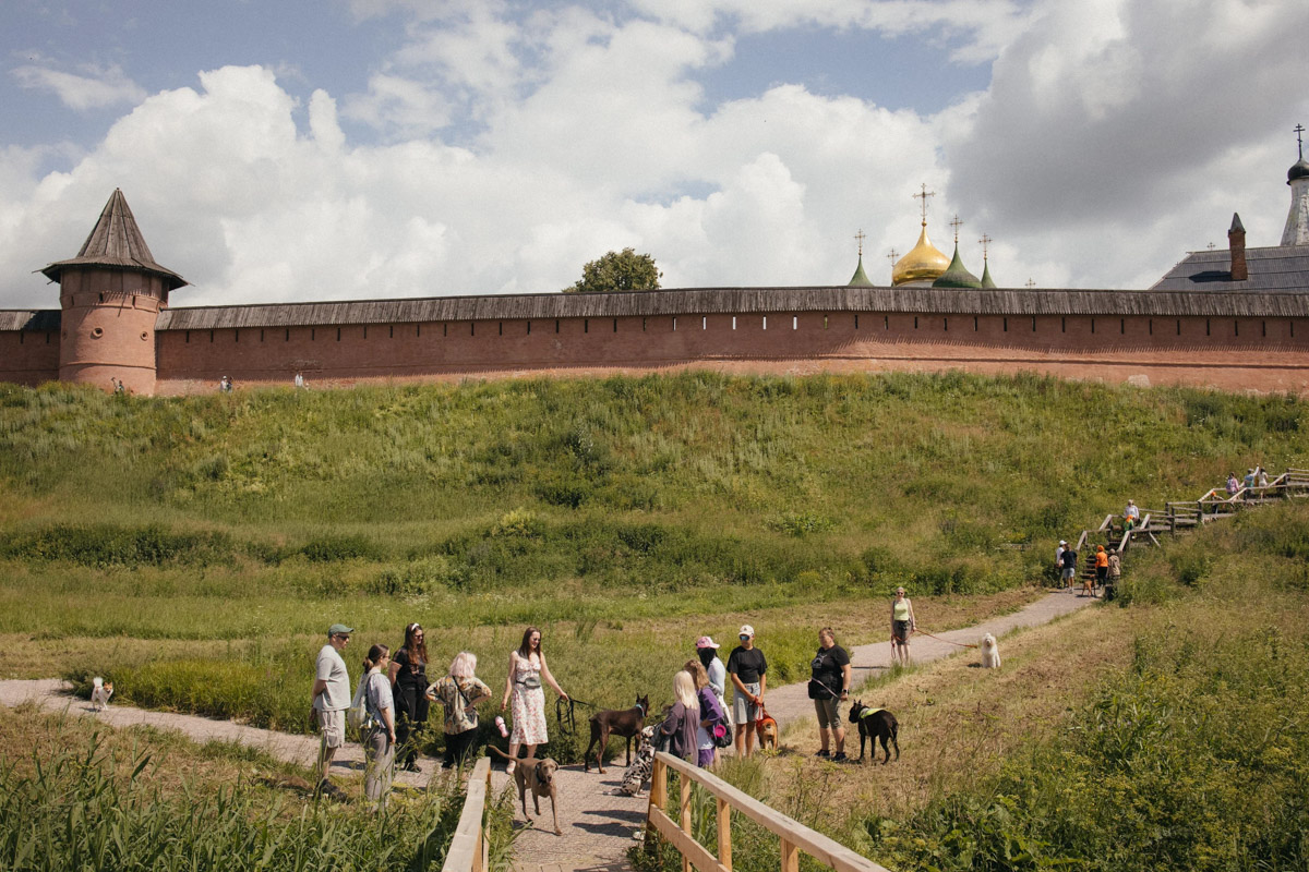 Питомцев всё чаще берут с собой на отдых. Существует даже сообщество, которое организует специальные туры для любителей мокроносов и их четвероногих друзей. Приятно, что среди направлений значится и уикенд в Суздале. В древнем городе любители путешествовать вместе с собаками провели три дня: гуляли по окрестностям, сплавлялись на сапбордах и готовили шашлыки.