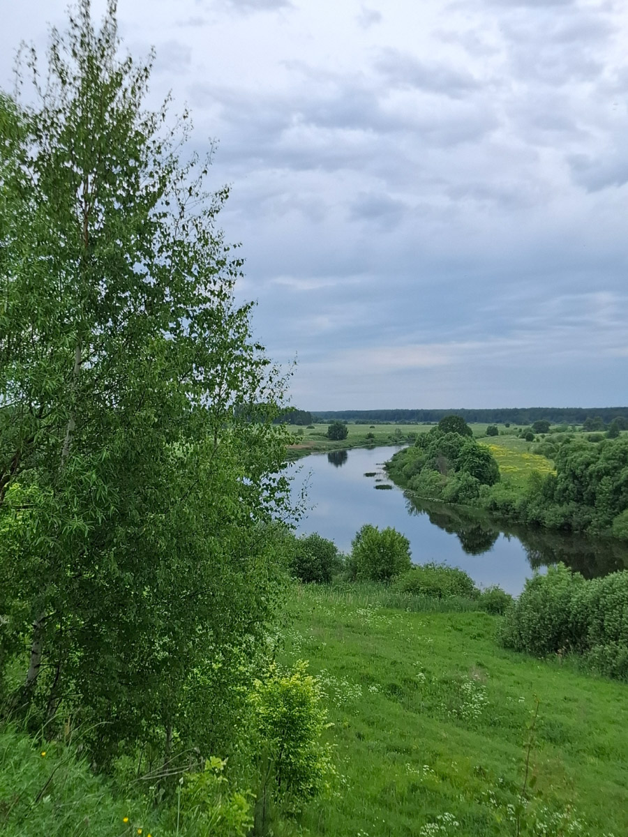 За окном осень, а значит, самое время подвести итоги конкурса «Самая красивая деревня Владимирской области». В 2026-м он прошел в 12-й раз и с еще большим размахом, чем в предыдущие годы. Обладатель Гран-при получил традиционную табличку признанного победителя и денежный приз в размере 300 тысяч рублей. На сей раз счастливчиков сразу два — Ельтесуново и Кидекша.